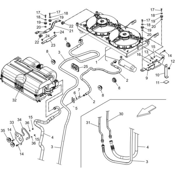 LANDINI ΦΩΛΙΑ ΒΙΔΑΣ ΤΑΜΠΛΟ (ΠΛΑΣΤΙΚΗ)REX,REX TIER