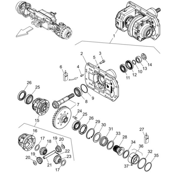 LANDINI ORING ΕΜΠΡΟΣ ΔΙΑΦΟΡΙΚΟΥ  ADVANTAGE,REX, REX TIER